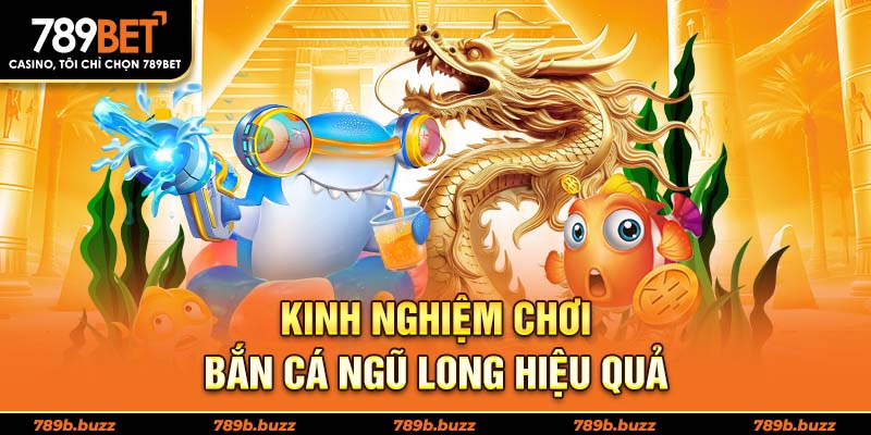Kinh nghiệm chơi bắn cá ngũ long 
