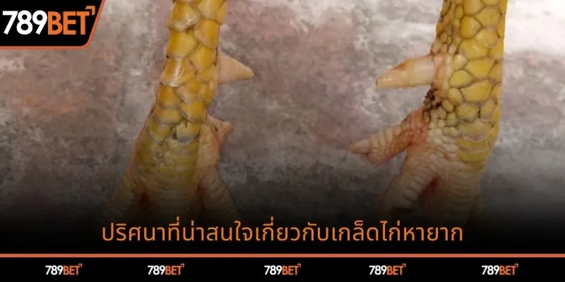ปริศนาที่น่าสนใจเกี่ยวกับเกล็ดไก่หายาก