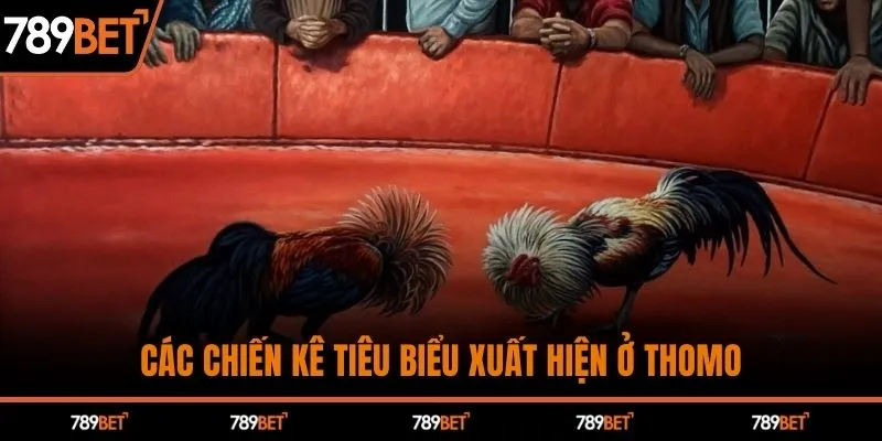 Các chiến kê tiêu biểu xuất hiện ở Thomo