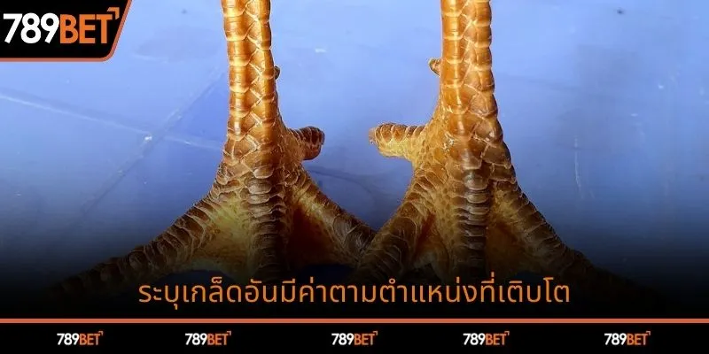 ระบุเกล็ดอันมีค่าตามตำแหน่งที่เติบโต