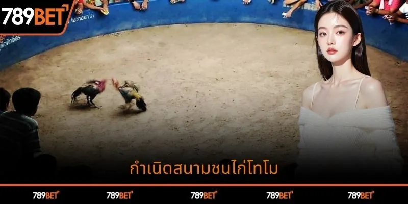กำเนิดสนามชนไก่โทโม