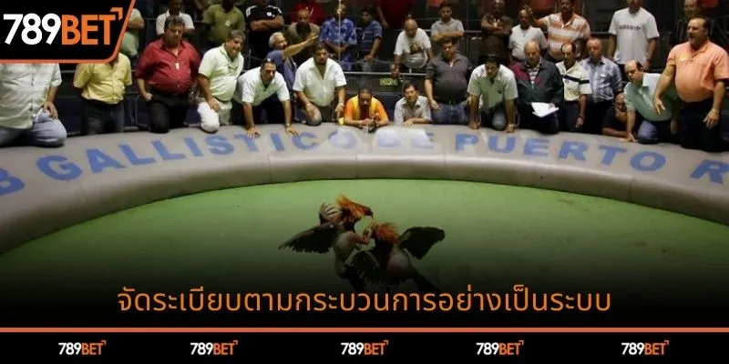 จัดระเบียบตามกระบวนการอย่างเป็นระบบ