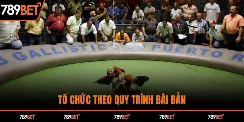 Tổ chức theo quy trình bài bản
