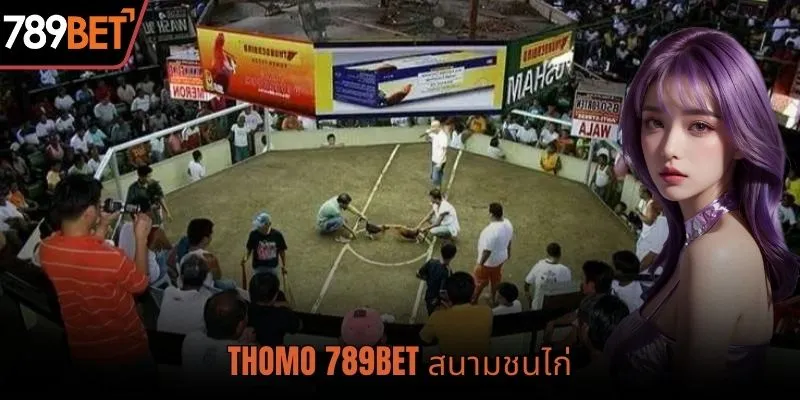 สนามชนไก่โทโม