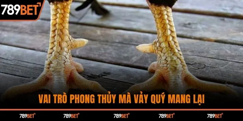 Vai trò phong thủy mà vảy quý mang lại