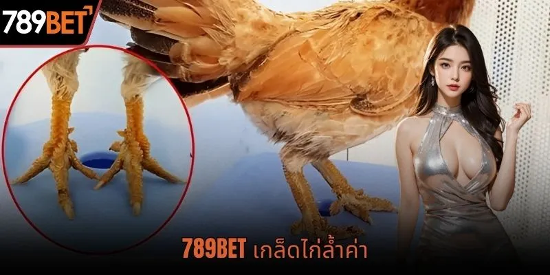 เกล็ดไก่อันล้ำค่า 789BET