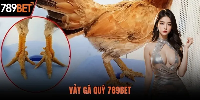 Vảy gà quý bí ẩn thần kê và cách nhận biết chuẩn